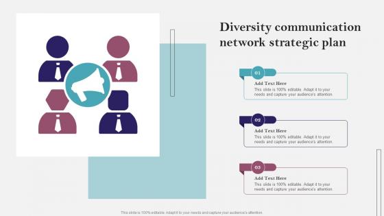 Diversity Communication Network Strategic Plan