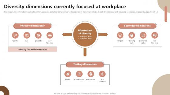 Diversity Dimensions Currently Focused At Workplace Strategic Plan To Foster Diversity And Inclusion