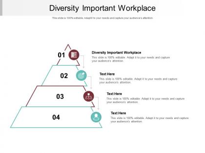 Diversity important workplace ppt powerpoint presentation outline professional cpb