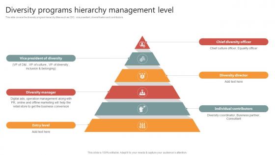 Diversity Programs Hierarchy Management Level