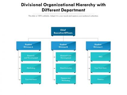 Divisional organizational hierarchy with different department