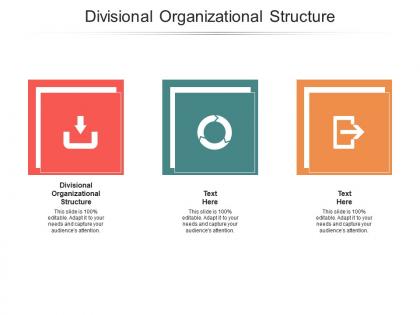 Divisional organizational structure ppt powerpoint presentation professional cpb