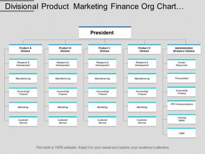 Divisional product marketing finance org chart template