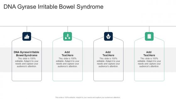 DNA Gyrase Irritable Bowel Syndrome In Powerpoint And Google Slides Cpb