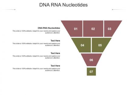 Dna rna nucleotides ppt powerpoint presentation gallery layouts cpb