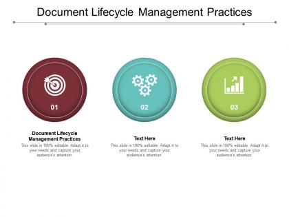 Document lifecycle management practices ppt powerpoint layouts mockup cpb