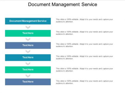 Document management service ppt powerpoint presentation show clipart cpb