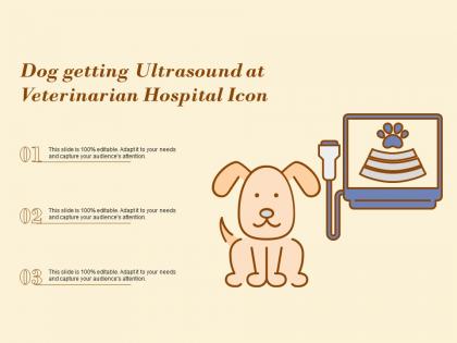 Dog getting ultrasound at veterinarian hospital icon