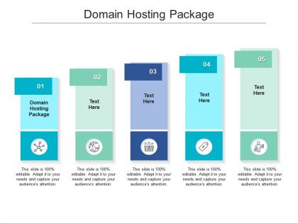 Domain hosting package ppt powerpoint presentation gallery format ideas cpb