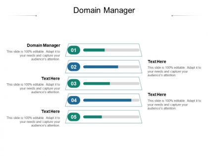 Domain manager ppt powerpoint presentation model guide cpb
