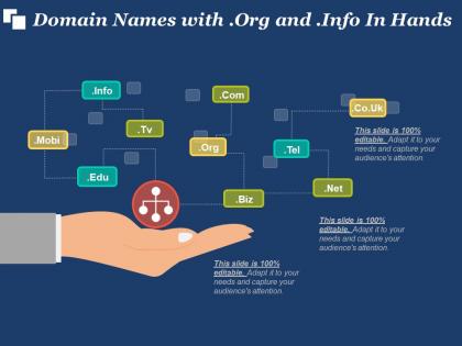 Domain names with org and info in hands