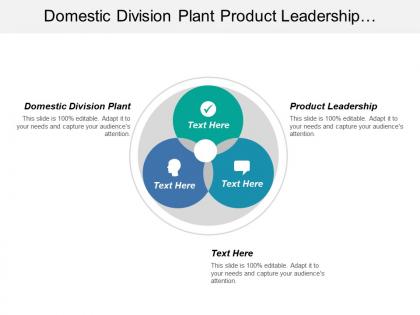 Domestic division plant product leadership improve business performance