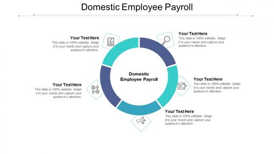 Domestic employee payroll ppt powerpoint presentation show designs download cpb