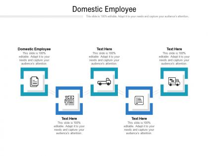 Domestic employee ppt powerpoint presentation slides infographic template cpb