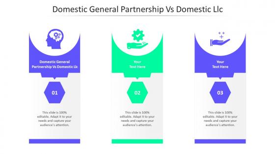 Domestic General Partnership Vs Domestic Llc Ppt Powerpoint Presentation Inspiration Examples Cpb