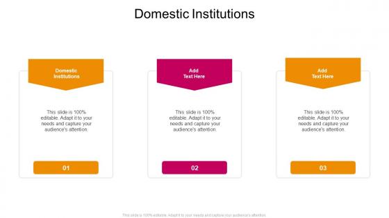 Domestic Institutions In Powerpoint And Google Slides Cpb