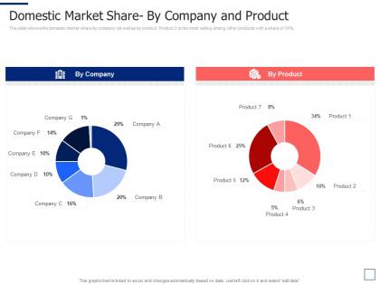 Domestic market share by company and product segmentation approaches ppt formats