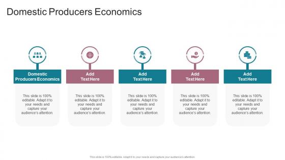 Domestic Producers Economics In Powerpoint And Google Slides Cpb