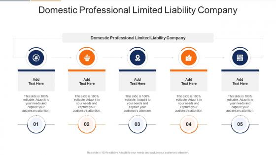 Domestic Professional Limited Liability Company In Powerpoint And Google Slides Cpb