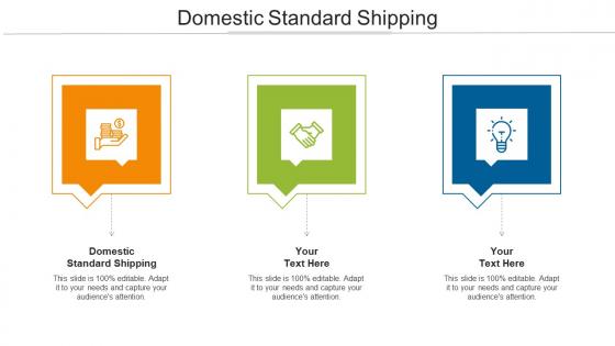 Domestic Standard Shipping Ppt Powerpoint Presentation Rules Cpb