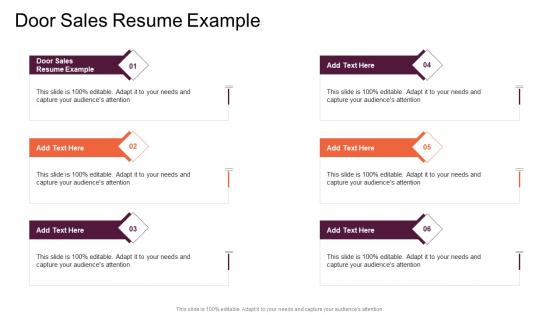 Door Sales Resume Example In Powerpoint And Google Slides Cpb