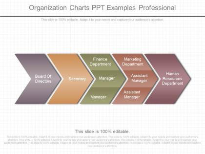 Download organization charts ppt examples professional