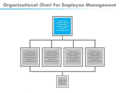 Download organizational chart for employee management flat powerpoint design