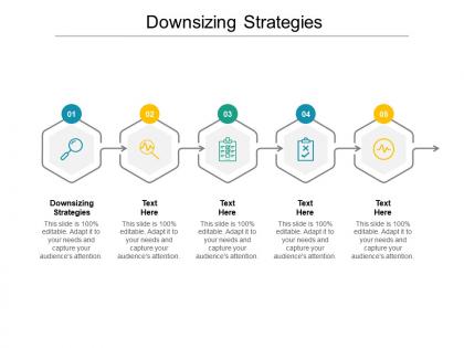 Downsizing strategies ppt powerpoint presentation ideas example cpb