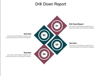 Drill down report ppt powerpoint presentation outline examples cpb