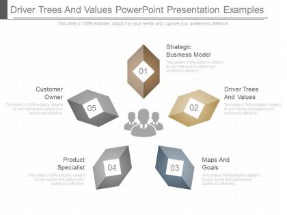 Driver trees and values powerpoint presentation examples