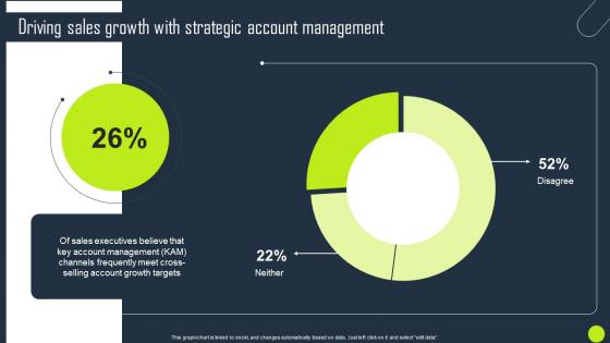Driving Sales Growth With Strategic Account Key Business Account Planning Strategy SS