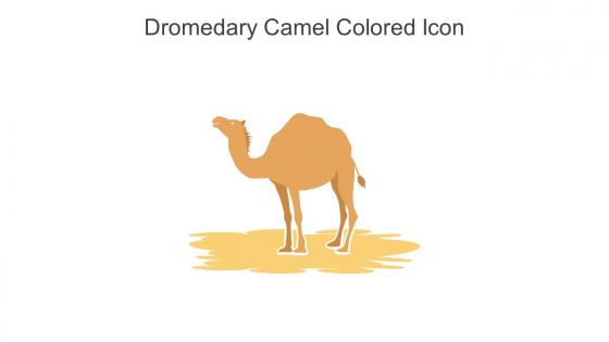 Dromedary Camel Colored Icon In Powerpoint Pptx Png And Editable Eps Format
