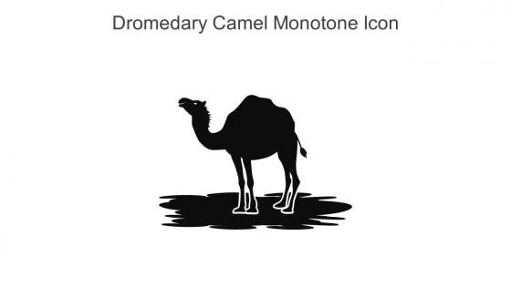Dromedary Camel Monotone Icon In Powerpoint Pptx Png And Editable Eps Format