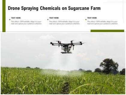 Drone spraying chemicals on sugarcane farm