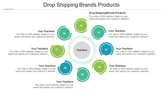 Drop Shipping Brands Products Ppt Powerpoint Presentation Visual Aids Outline Cpb