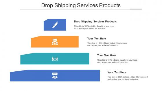 Drop shipping services products ppt powerpoint presentation show example file cpb
