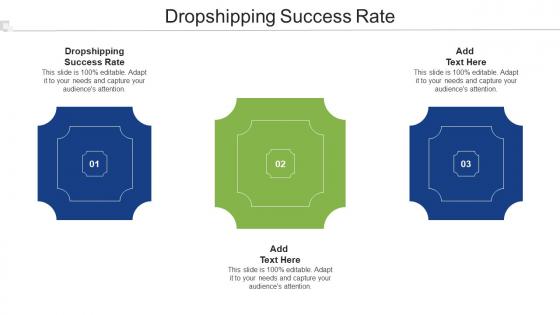 Dropshipping Success Rate Ppt Powerpoint Presentation Professional Portrait Cpb