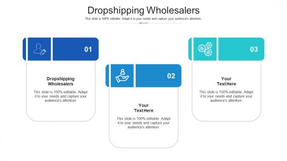 Dropshipping wholesalers ppt powerpoint presentation outline graphics cpb