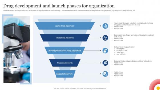 Drug Development And Launch Phases For Organization