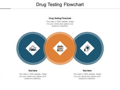 Drug testing flowchart ppt powerpoint presentation professional objects cpb