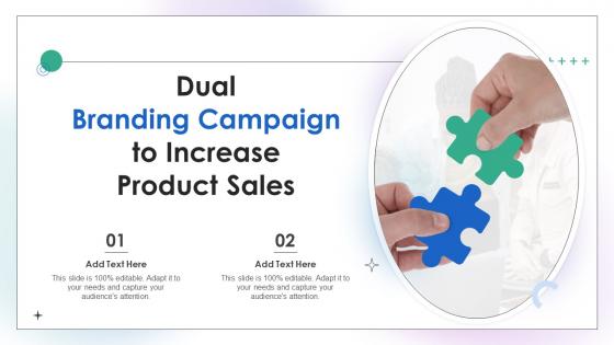 Dual Branding Campaign To Increase Product Sales Ppt Slides Infographic Template
