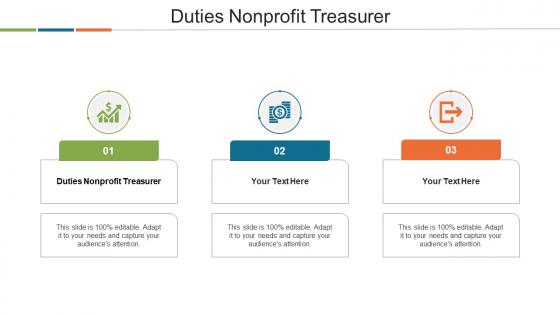 Duties Nonprofit Treasurer Ppt Powerpoint Presentation File Visual Aids Cpb