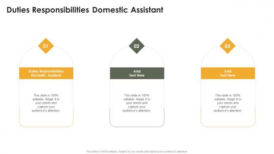 Duties Responsibilities Domestic Assistant In Powerpoint And Google Slides Cpb
