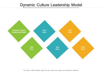 Dynamic culture leadership model ppt powerpoint presentation outline images cpb