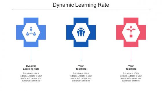Dynamic Learning Rate Ppt Powerpoint Presentation Inspiration Ideas Cpb