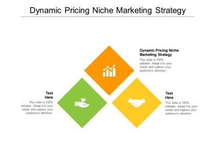Dynamic pricing niche marketing strategy ppt powerpoint presentation infographics summary cpb