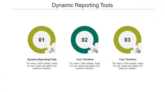Dynamic reporting tools ppt powerpoint presentation infographics pictures cpb