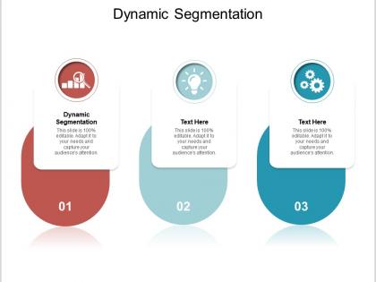 Dynamic segmentation ppt powerpoint presentation icon sample cpb