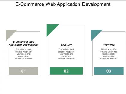 E-commerce web application development ppt powerpoint presentation portfolio files cpb
