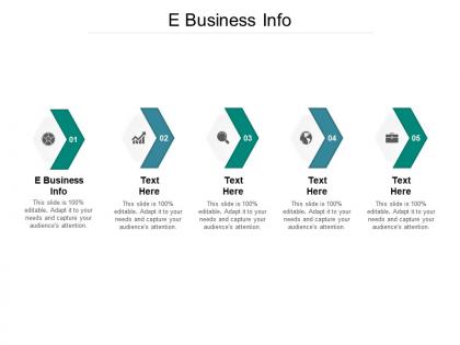 E business info ppt powerpoint presentation portfolio deck cpb